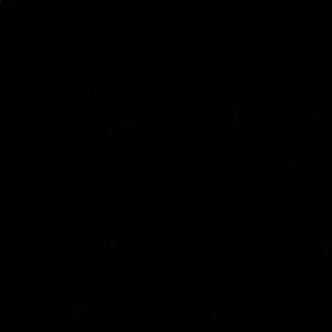 Meet your Posher, Lilly